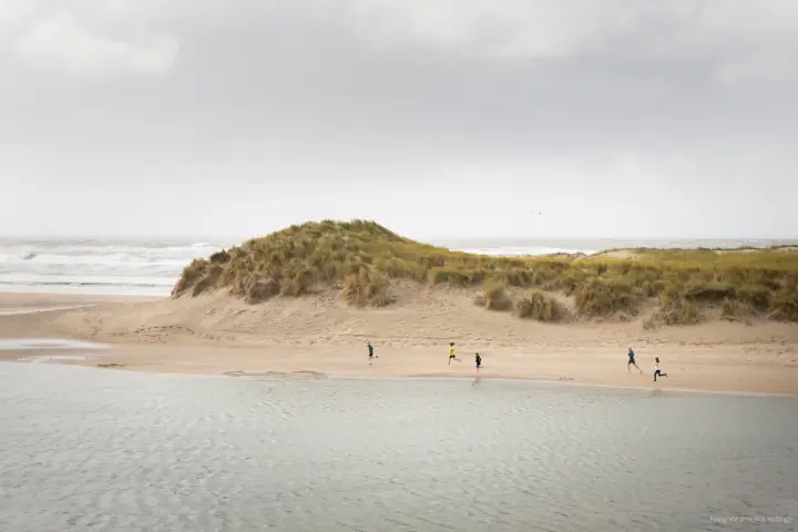 Kleine lopers op het strand voor een begroeide duin, met de zee erachter en water op de voorgrond.