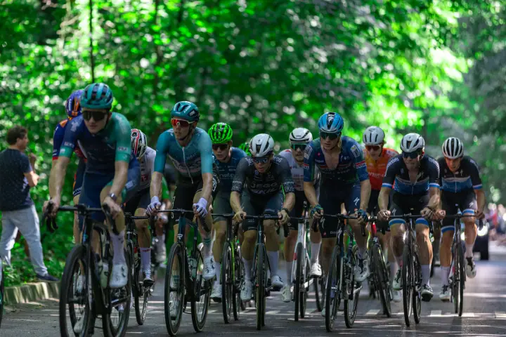 Breed peloton klimt over een schaduwrijke weg door het bos tijdens het NK Wielrennen