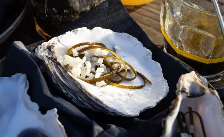 Oesterschelp gevuld met blokjes en slierten zeewier, geserveerd tijdens de tasting van Uitgepolderd